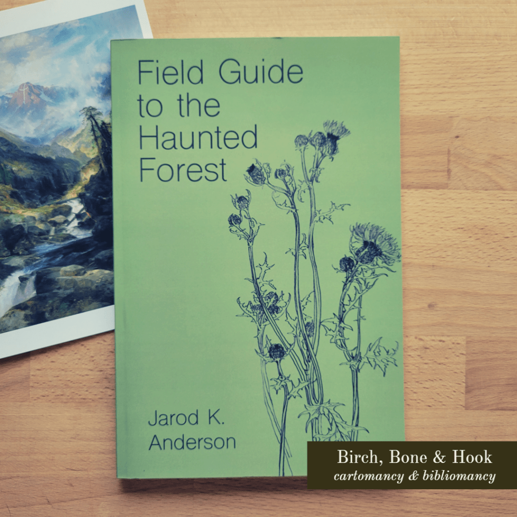 Field Guide to the Haunted Forest by Jarod K.&nbsp;Anderson